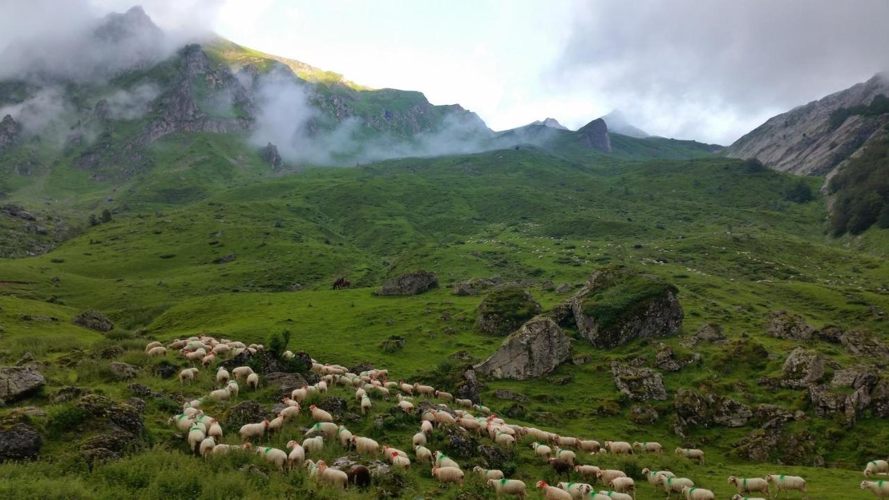 Gite De Montagne Du Plateau De Lhers- Accueil Randonneurs Accous Exteriér fotografie