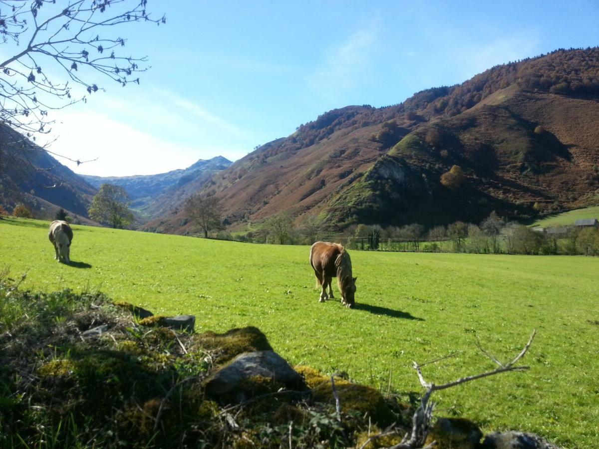 Gite De Montagne Du Plateau De Lhers- Accueil Randonneurs Accous Exteriér fotografie