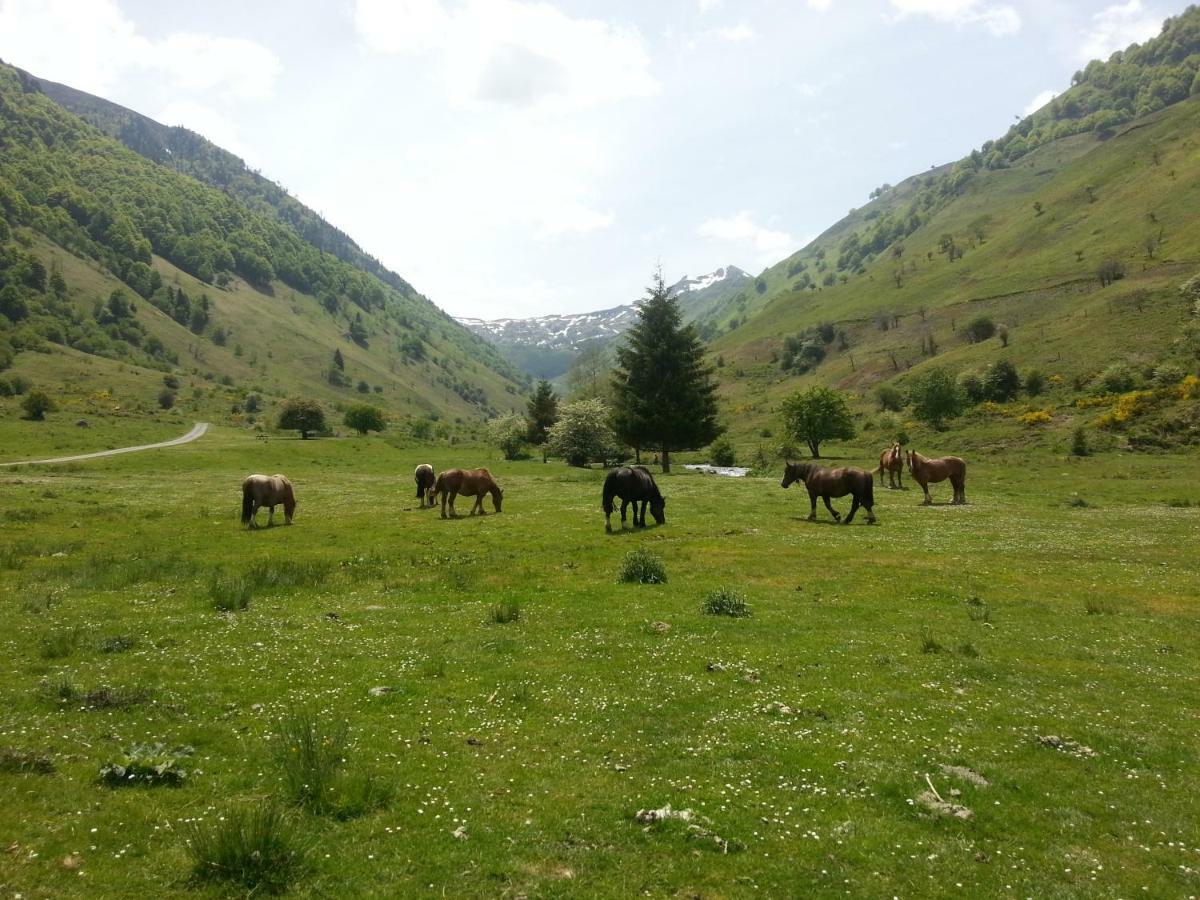 Gite De Montagne Du Plateau De Lhers- Accueil Randonneurs Accous Exteriér fotografie
