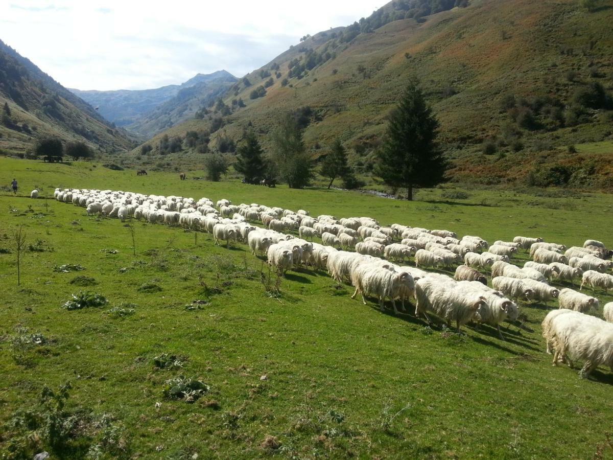 Gite De Montagne Du Plateau De Lhers- Accueil Randonneurs Accous Exteriér fotografie