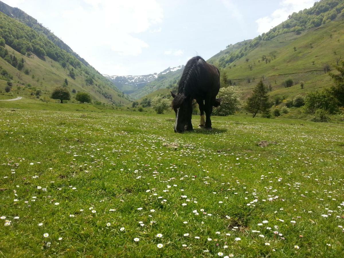 Gite De Montagne Du Plateau De Lhers- Accueil Randonneurs Accous Exteriér fotografie